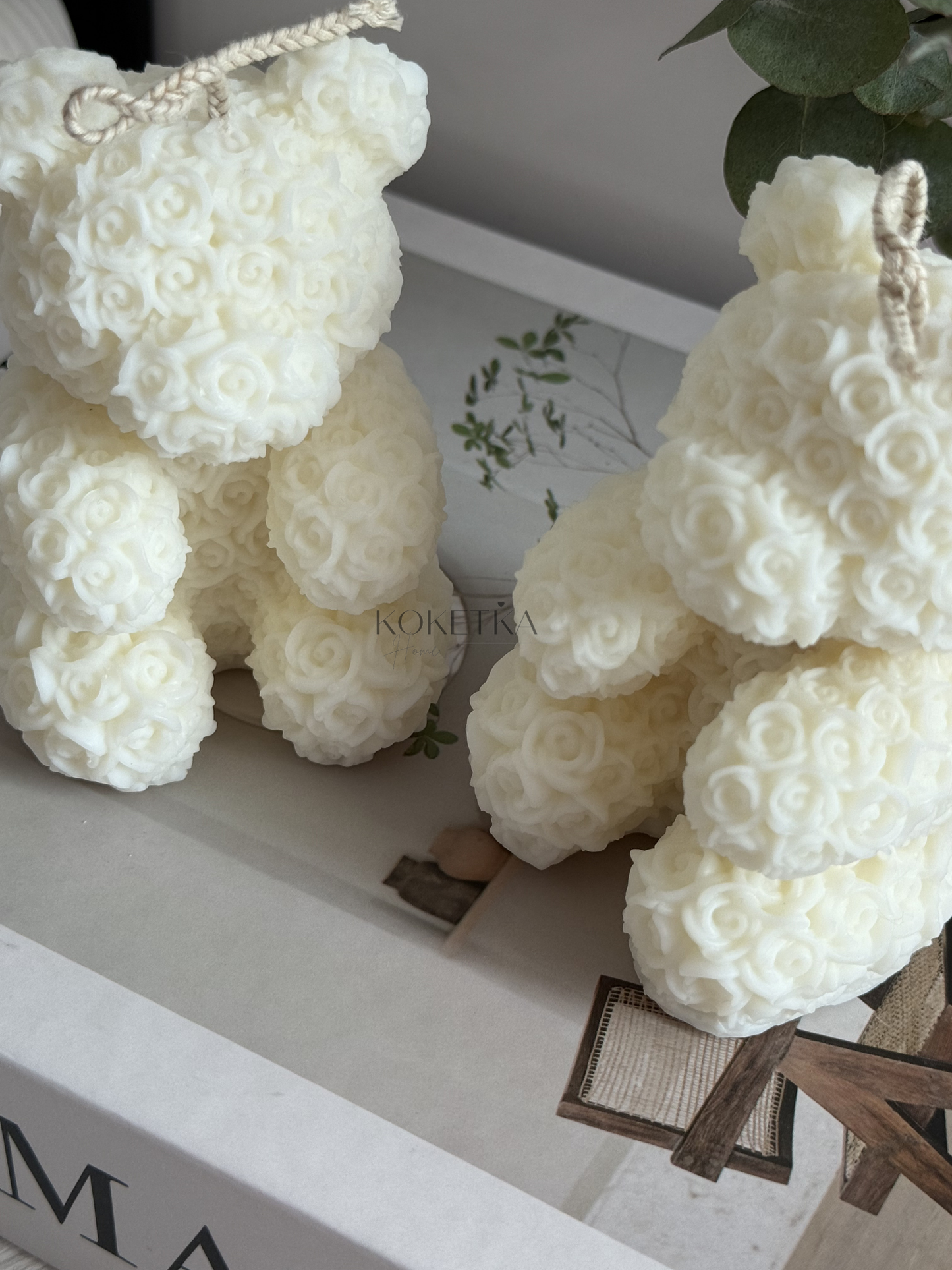 Vela Teddy